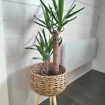 샬레 Inch View With Hot Tub & Sauna Burnfoot