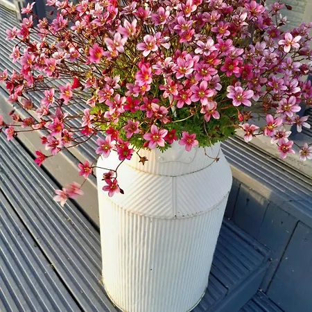 Inch View With Hot Tub & Sauna Burnfoot