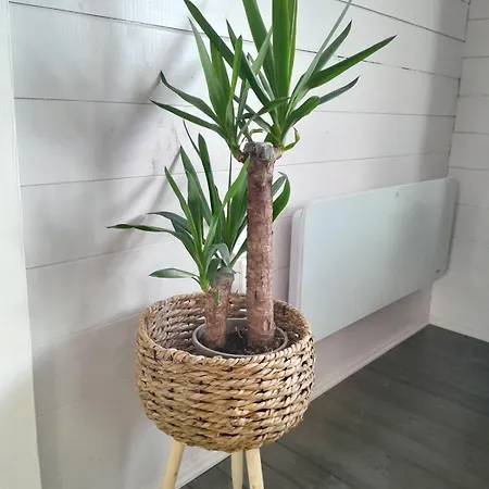 木屋 Inch View With Hot Tub & Sauna Burnfoot