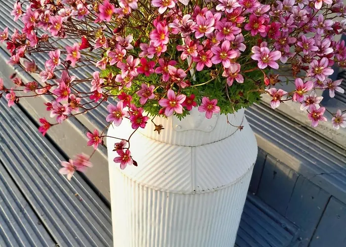 Inch View With Hot Tub & Sauna Burnfoot