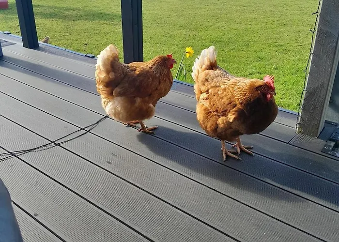 Inch View With Hot Tub & Sauna