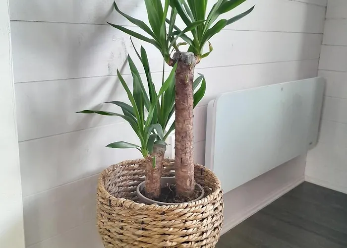 Chalet Inch View With Hot Tub & Sauna Burnfoot